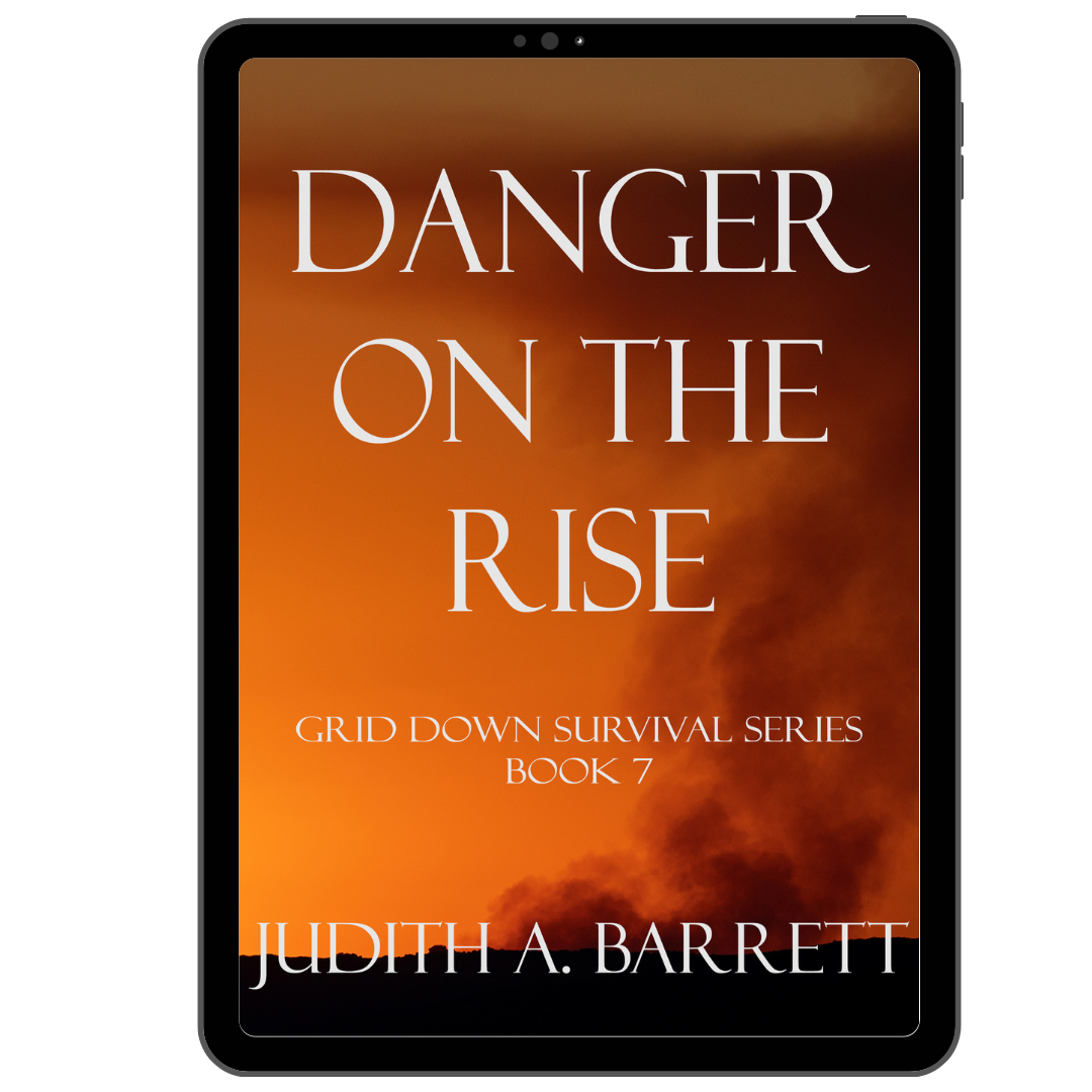 post-apocalyptic novel, action and adventure, danger on the rise ebook