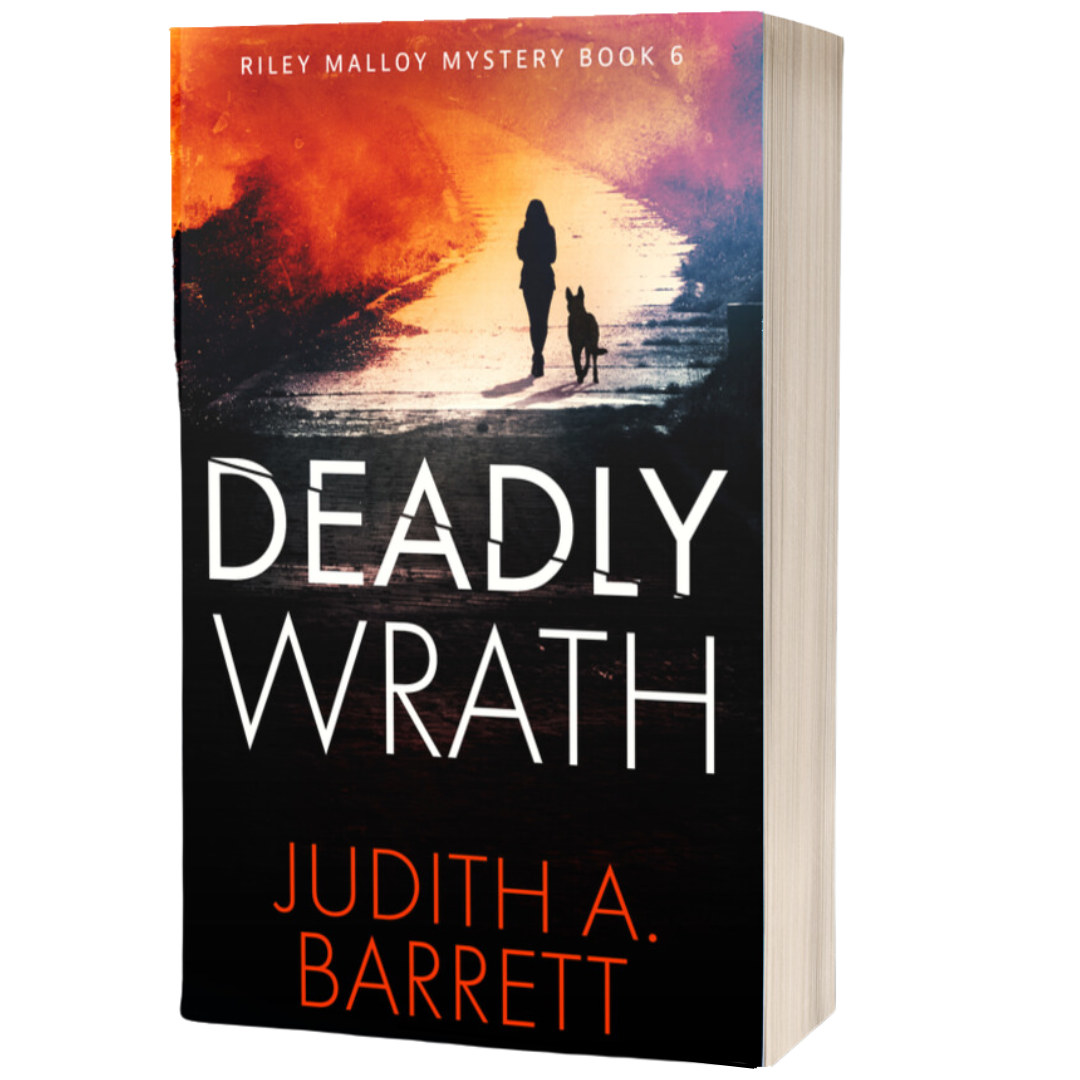 Deadly Wrath Paperback Riley Malloy Mystery 6