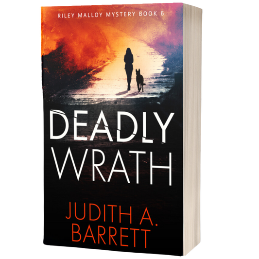 Deadly Wrath Paperback Riley Malloy Mystery 6
