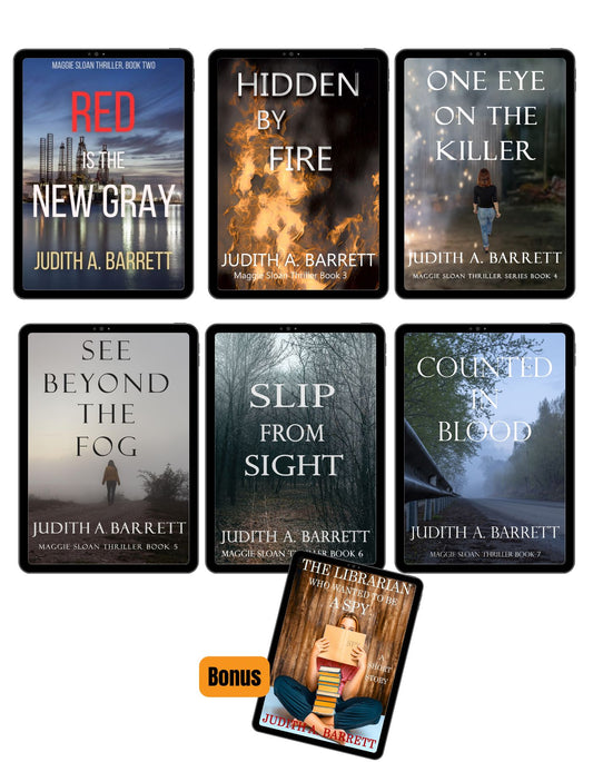 Maggie Sloan ebooks 2-7 plus a bonus bundled