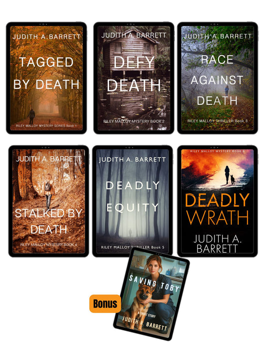 Romantic mystery series cute meet small town