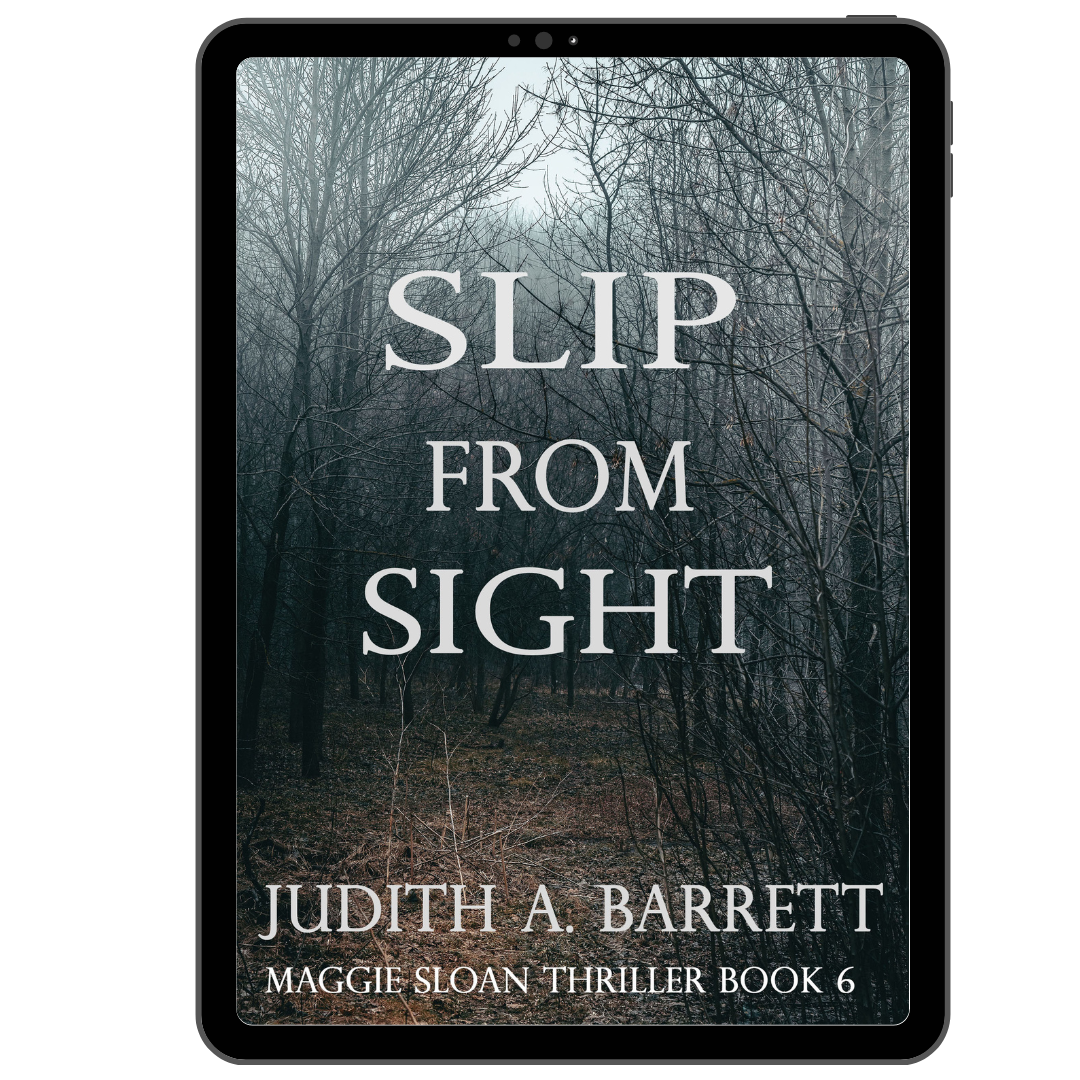 Slip from Sight: Maggie Sloan Thriller 6 eBook