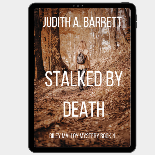 clean romantic mystery novel