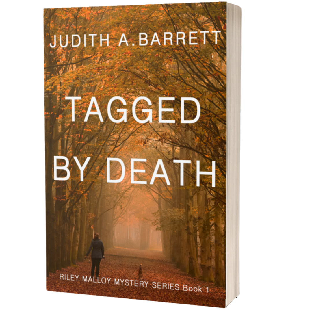 clean romantic mystery novel