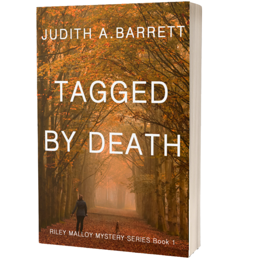 clean romantic mystery novel