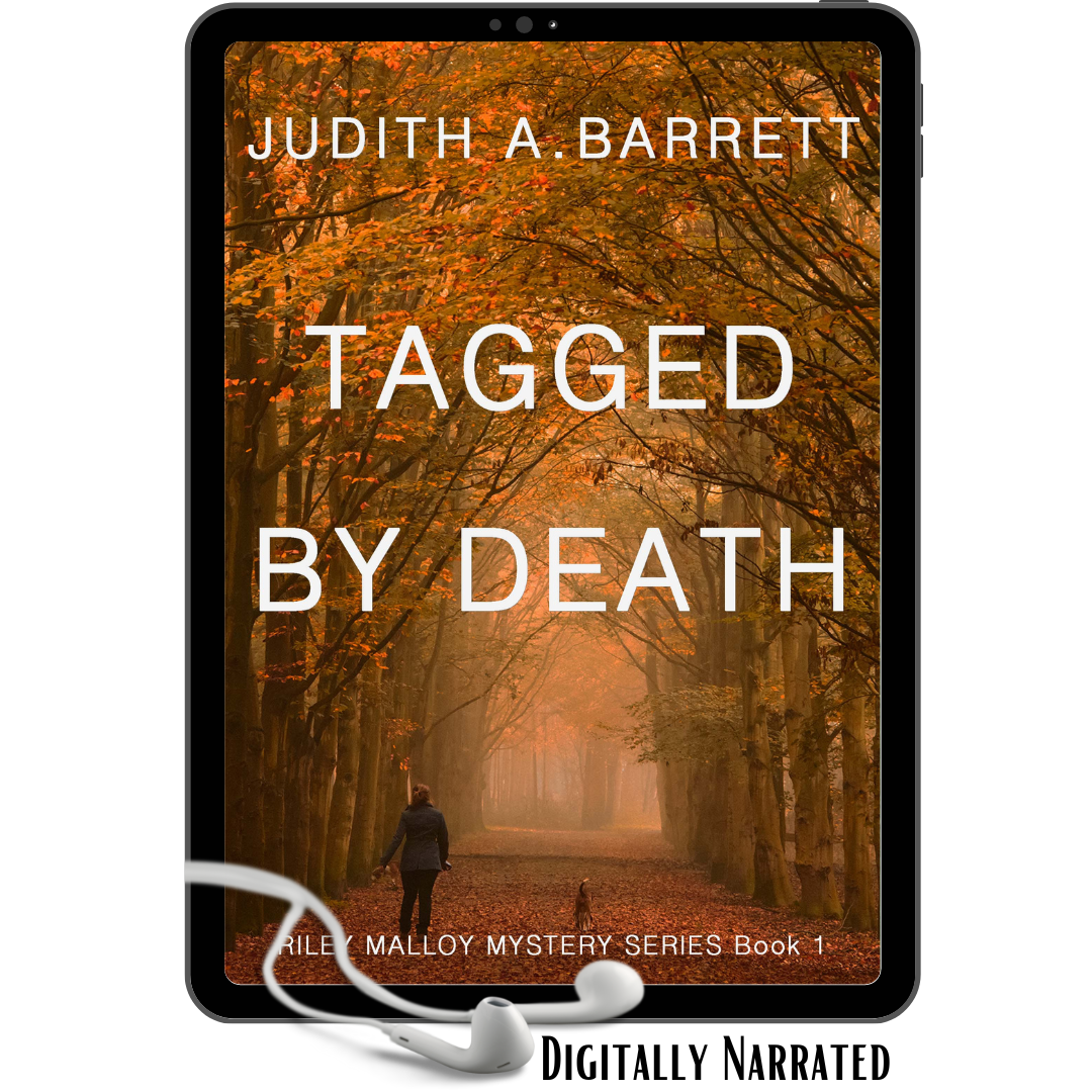 clean romantic mystery audio novel