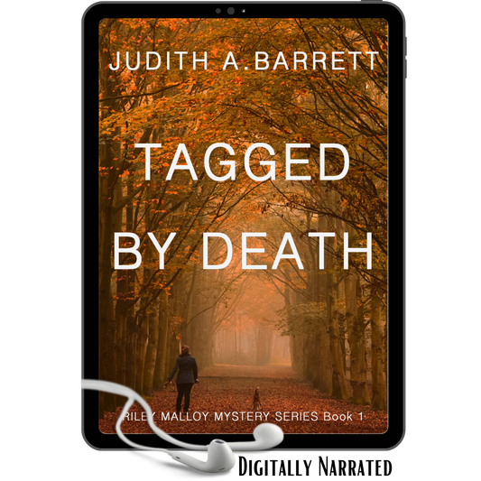 clean romantic mystery audio novel