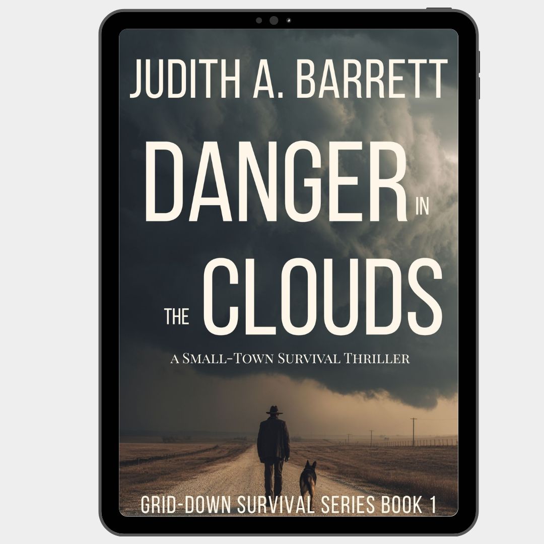 Danger in the clouds ebook Small town survival