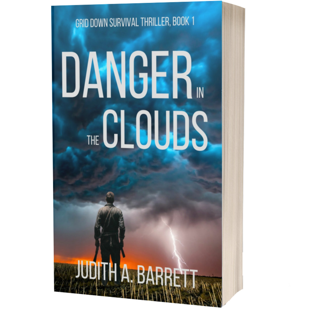 Danger in the Clouds: Grid Down Survival Thriller 1 Paperback