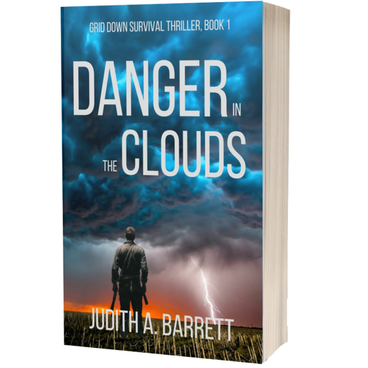 Danger in the Clouds: Grid Down Survival Thriller 1 Paperback