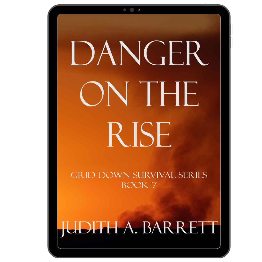 Danger on the Rise: Grid Down Survival Thriller 7 eBook