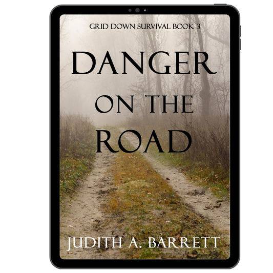 Danger on the Road: Grid Down Survival Thriller 3 eBook