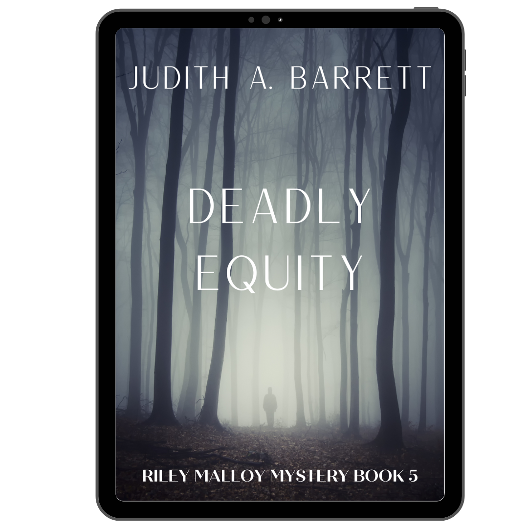 Deadly Equity: Riley Malloy Mystery 5 eBook