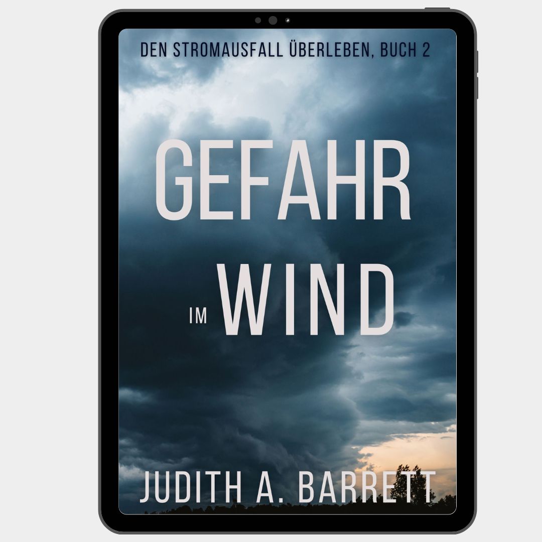 Book cover of 'GEFAHR IM WIND' by Judith A. Barrett 