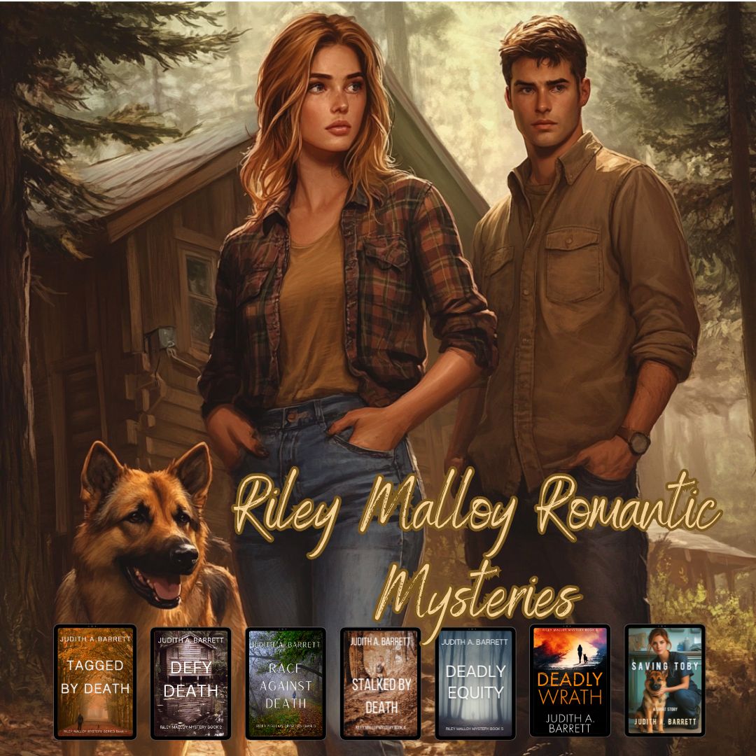 Riley Malloy Romantic Mysteries Plus One ebooks