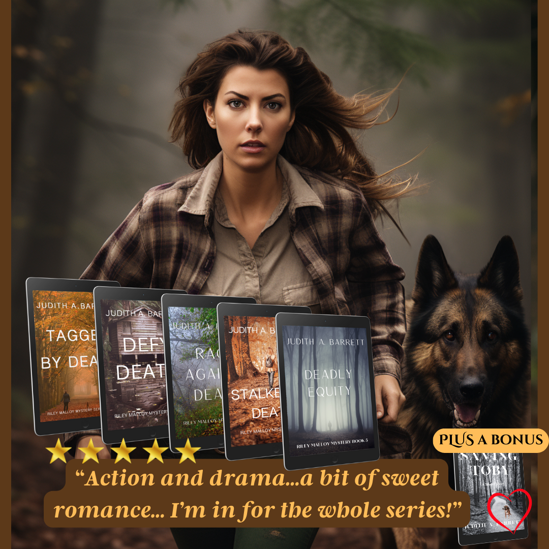 Barrett Book Judith A. Barrett Books – Barrett Book Shop