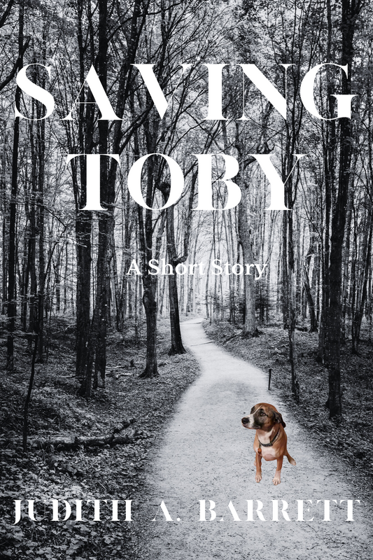Saving Toby: A Riley Malloy Short Story