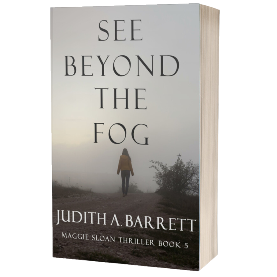 See Beyond the Fog: Maggie Sloan Thriller 5 Paperback