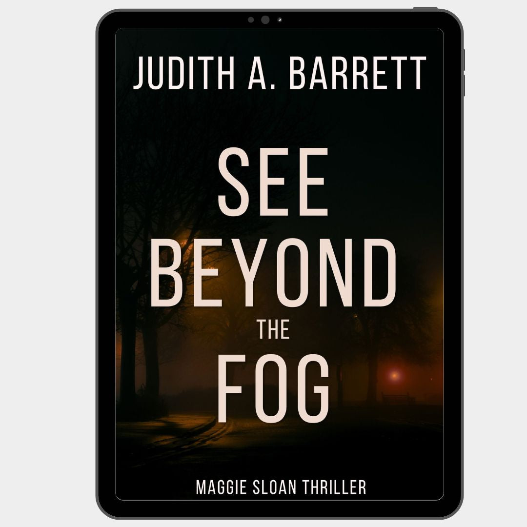 Book cover of 'See Beyond the Fog' by Judith A. Barrett with a dark scene and text.