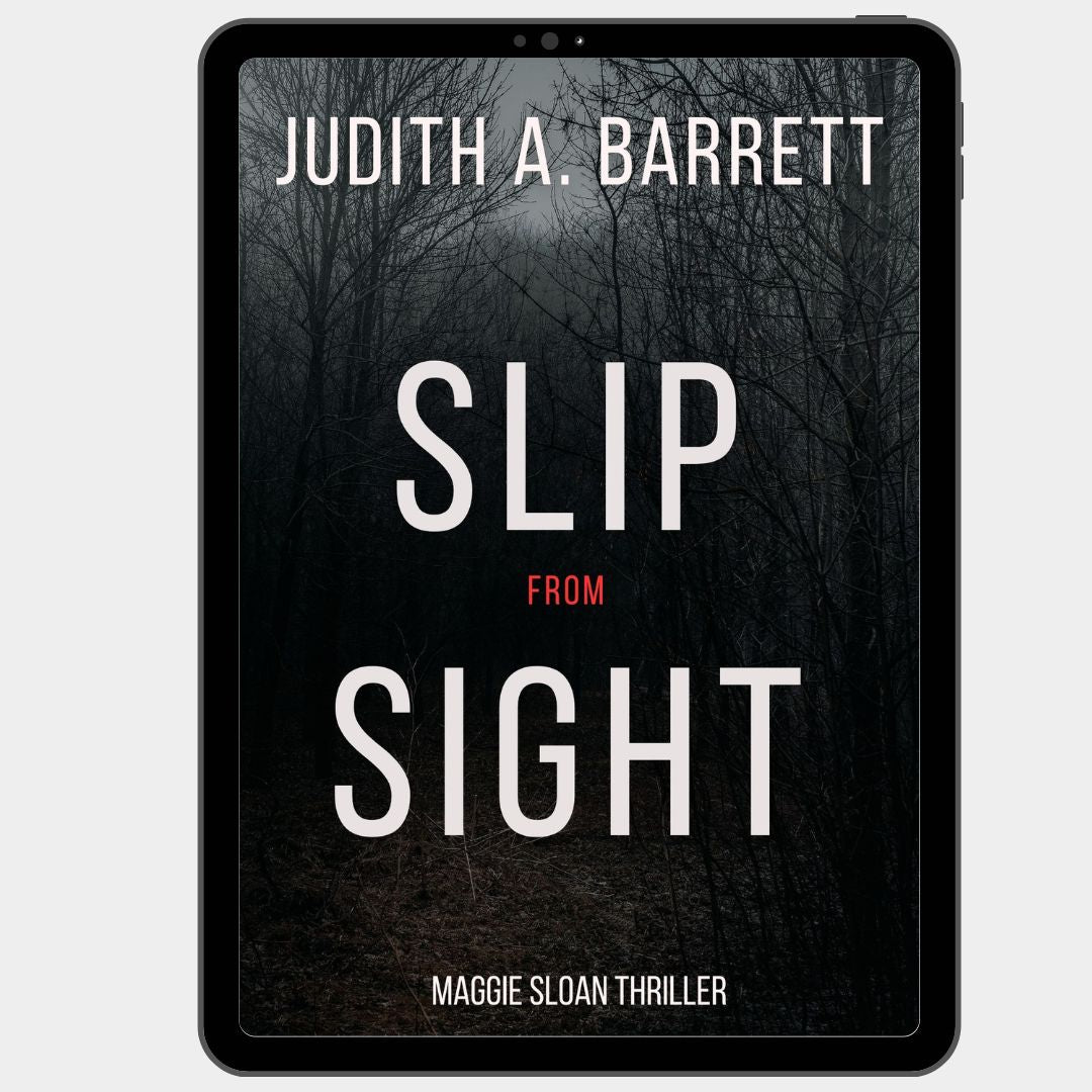 Book cover of 'Slip from Sight' by Judith A. Barrett on a tablet screen.