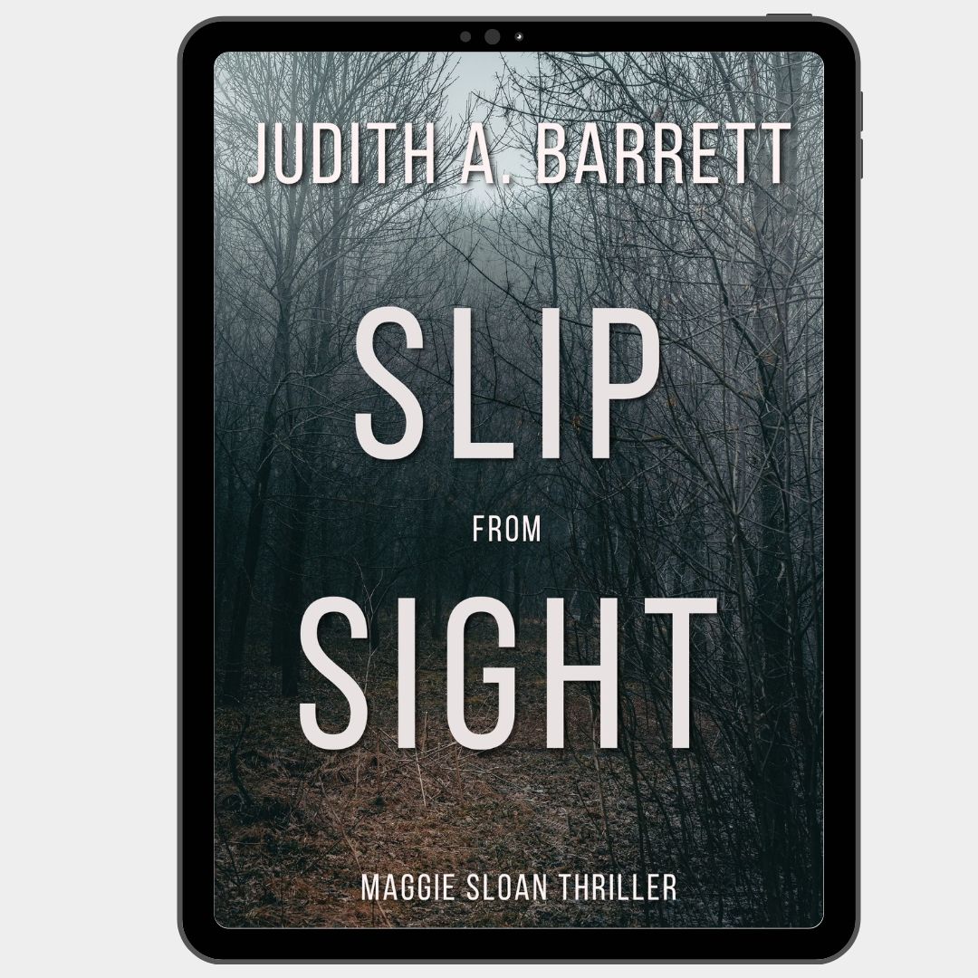 Book cover of 'Slip from Sight' by Judith A. Barrett on a tablet screen.
