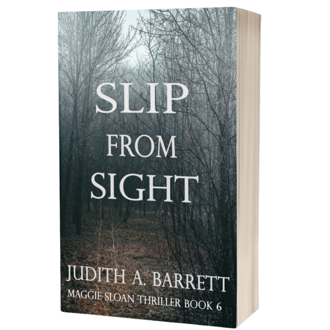 Slip from Sight: Maggie Sloan Thriller 6 Paperback