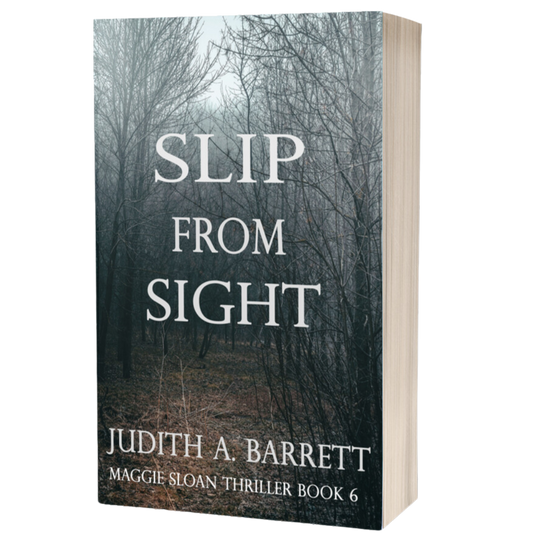 Slip from Sight: Maggie Sloan Thriller 6 Paperback