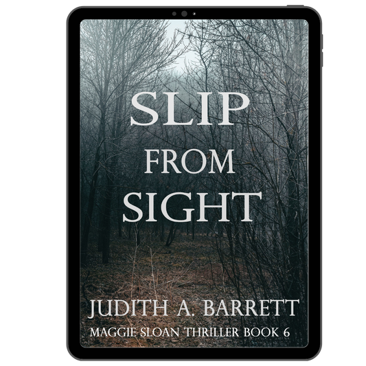 Slip from Sight: Maggie Sloan Thriller 6 eBook